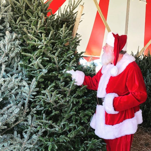 Buy A Tree. Change A Life.