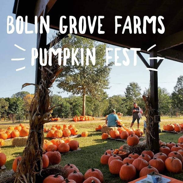 Bolin Grove Farms Pumpkin Fest