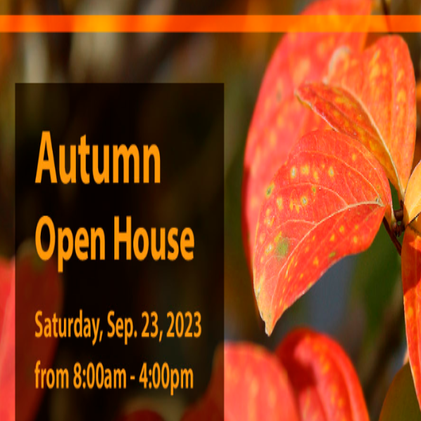 Brussel's Bonsai Nursery Autumn Open House