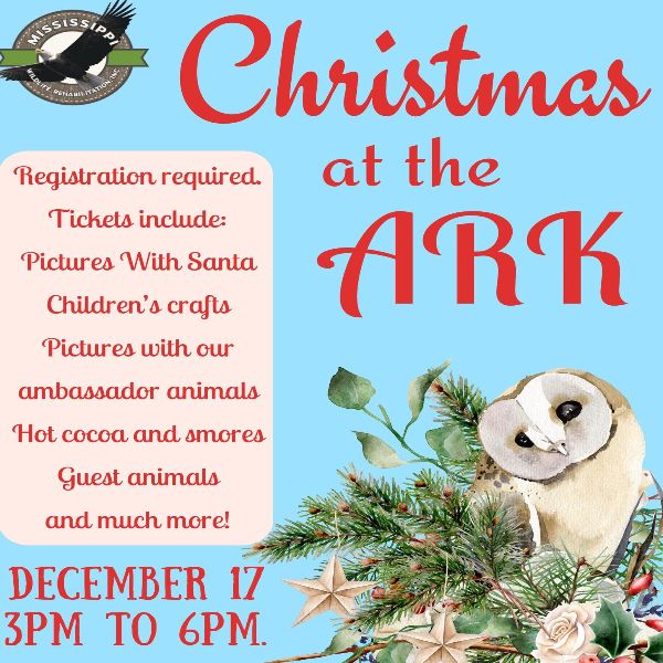 Christmas at The Ark Visit DeSoto County