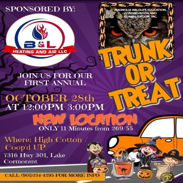 First Annual Trunk or Treat