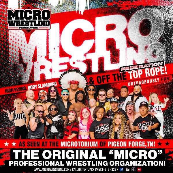 Micro Wrestling-Big Little Brawlers