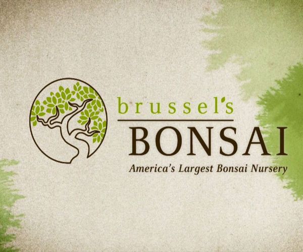 Brussel's Bonsai Nursery