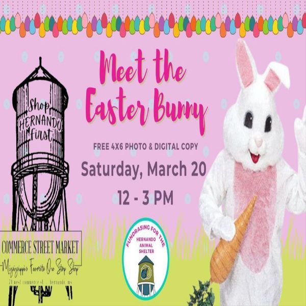 Meet the Easter Bunny