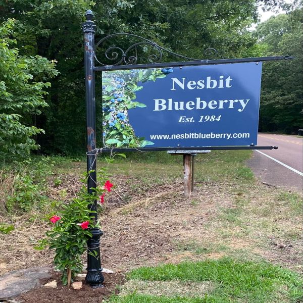 More Info for YouPick & PrePicked Blueberries