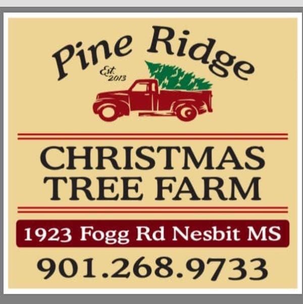 Pine Ridge Christmas Tree Farm