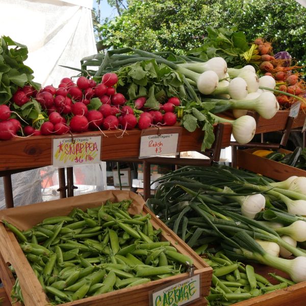 Southaven Farmers Market 