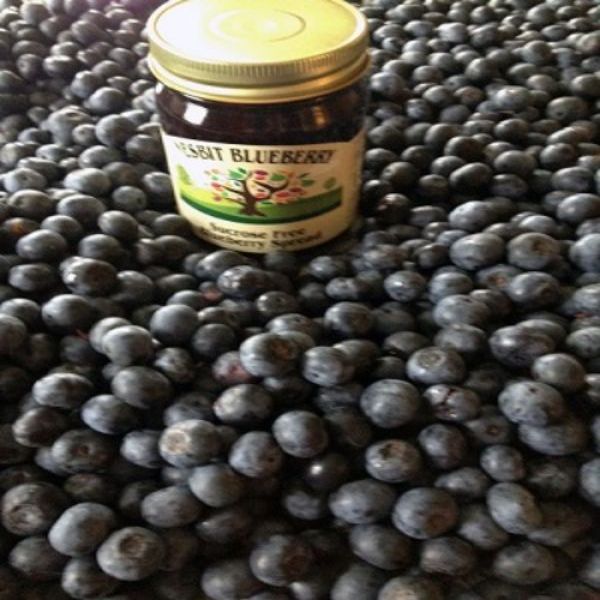 "U Pick" Nesbit Blueberry Plantation