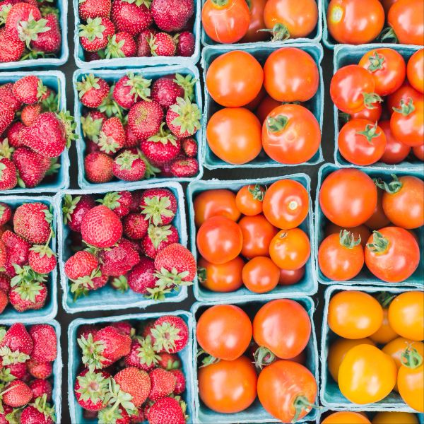 Olive Branch Farmers Market