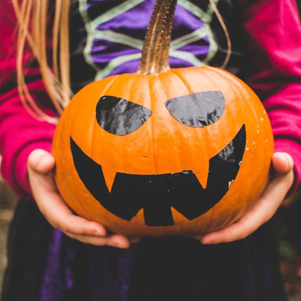 Trunk or Treat/Wildlife Costume Contest