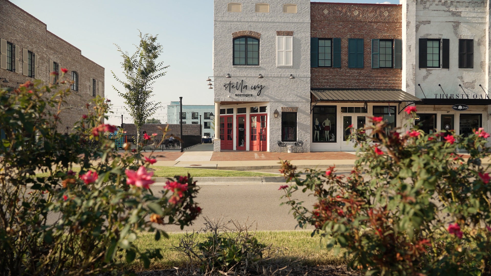 shopping-stella ivy.jpg